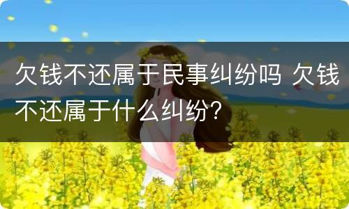 欠钱不还属于民事纠纷吗 欠钱不还属于什么纠纷?