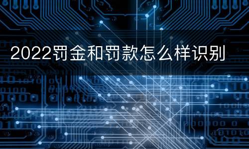 2022罚金和罚款怎么样识别