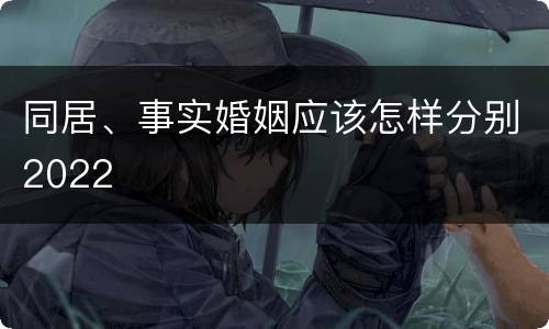 同居、事实婚姻应该怎样分别2022