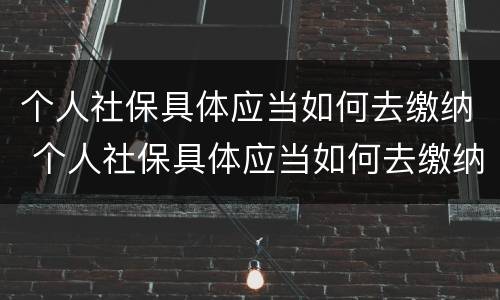 个人社保具体应当如何去缴纳 个人社保具体应当如何去缴纳社保