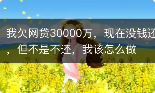 我欠网贷30000万，现在没钱还，但不是不还，我该怎么做