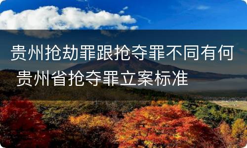 贵州抢劫罪跟抢夺罪不同有何 贵州省抢夺罪立案标准
