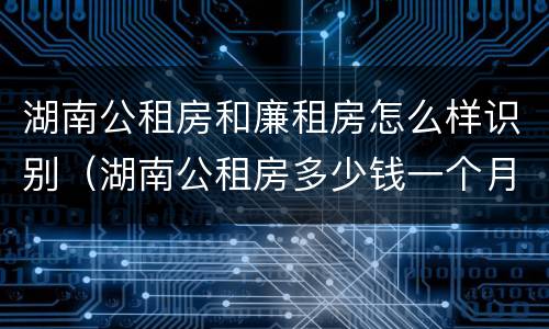 湖南公租房和廉租房怎么样识别（湖南公租房多少钱一个月）