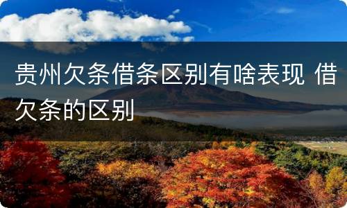 贵州欠条借条区别有啥表现 借欠条的区别
