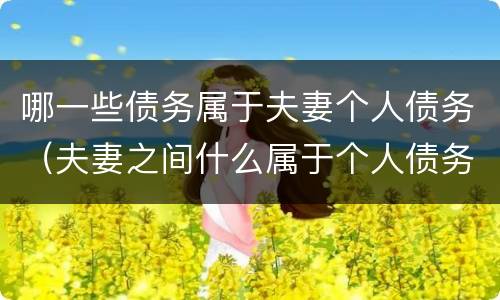 哪一些债务属于夫妻个人债务（夫妻之间什么属于个人债务）