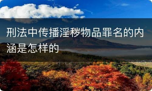 刑法中传播淫秽物品罪名的内涵是怎样的