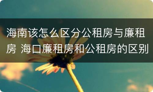 海南该怎么区分公租房与廉租房 海口廉租房和公租房的区别