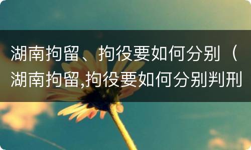 湖南拘留、拘役要如何分别（湖南拘留,拘役要如何分别判刑）