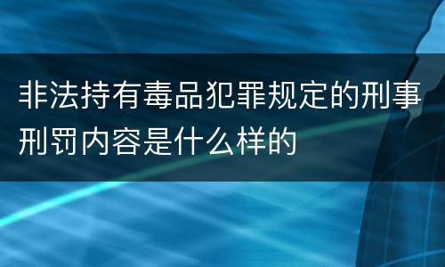 非法持有毒品犯罪规定的刑事刑罚内容是什么样的