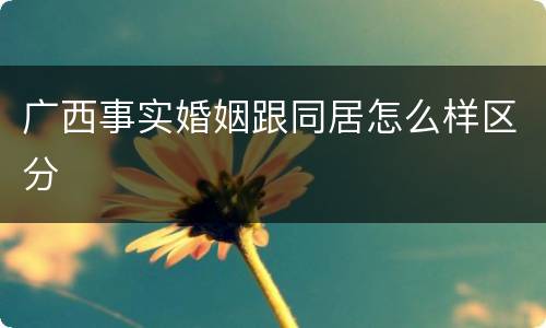 广西事实婚姻跟同居怎么样区分