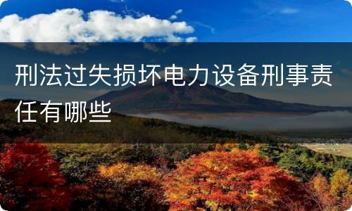 刑法过失损坏电力设备刑事责任有哪些