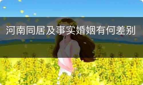 河南同居及事实婚姻有何差别