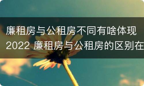 廉租房与公租房不同有啥体现2022 廉租房与公租房的区别在哪里