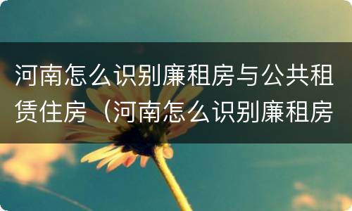 河南怎么识别廉租房与公共租赁住房（河南怎么识别廉租房与公共租赁住房的区别）