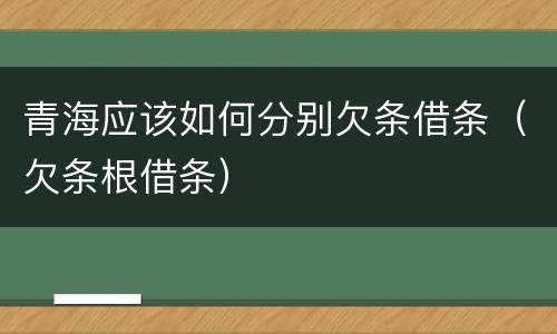 青海应该如何分别欠条借条（欠条根借条）