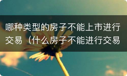 哪种类型的房子不能上市进行交易（什么房子不能进行交易）