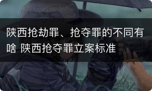 陕西抢劫罪、抢夺罪的不同有啥 陕西抢夺罪立案标准