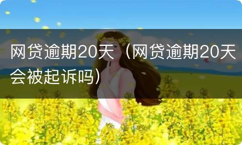 网贷逾期20天（网贷逾期20天会被起诉吗）