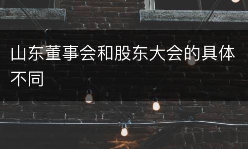 山东董事会和股东大会的具体不同