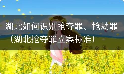 湖北如何识别抢夺罪、抢劫罪（湖北抢夺罪立案标准）