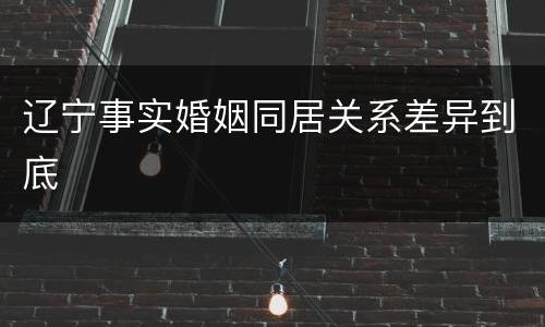 辽宁事实婚姻同居关系差异到底