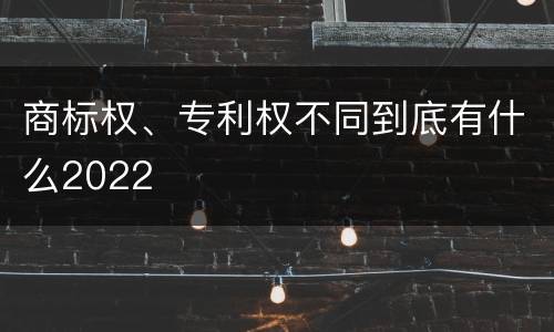 商标权、专利权不同到底有什么2022