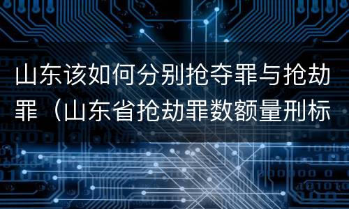 山东该如何分别抢夺罪与抢劫罪（山东省抢劫罪数额量刑标准）