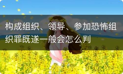 构成组织、领导、参加恐怖组织罪既遂一般会怎么判