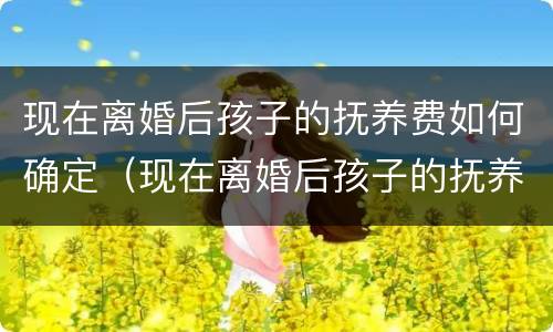 现在离婚后孩子的抚养费如何确定（现在离婚后孩子的抚养费如何确定抚养关系）