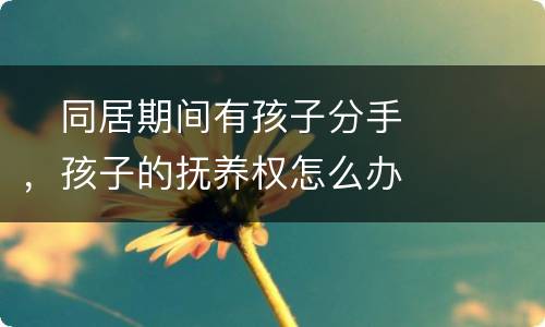 　同居期间有孩子分手，孩子的抚养权怎么办