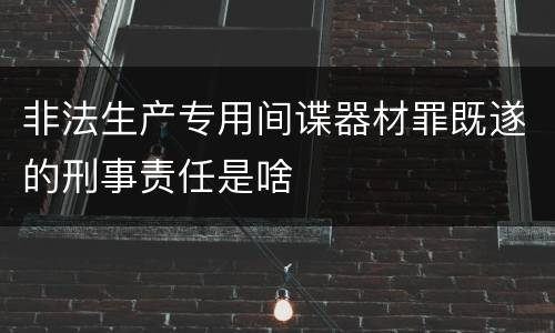 非法生产专用间谍器材罪既遂的刑事责任是啥