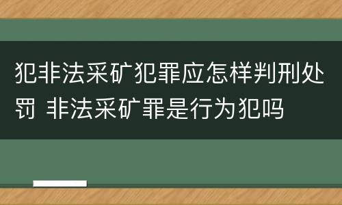 犯非法采矿犯罪应怎样判刑处罚 非法采矿罪是行为犯吗