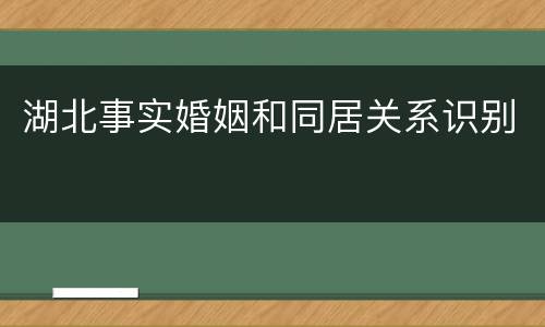 湖北事实婚姻和同居关系识别