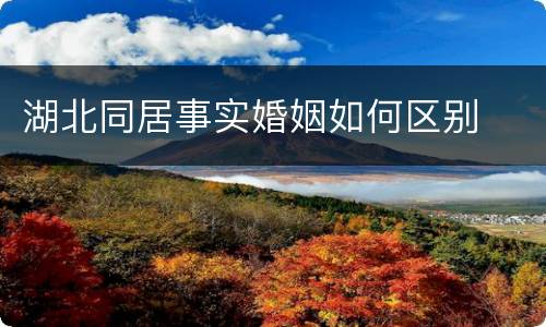 湖北同居事实婚姻如何区别