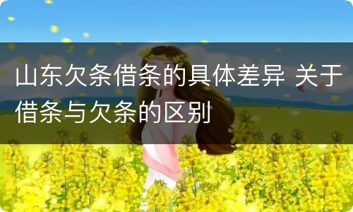 山东欠条借条的具体差异 关于借条与欠条的区别