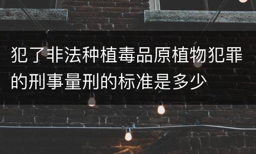 犯了非法种植毒品原植物犯罪的刑事量刑的标准是多少