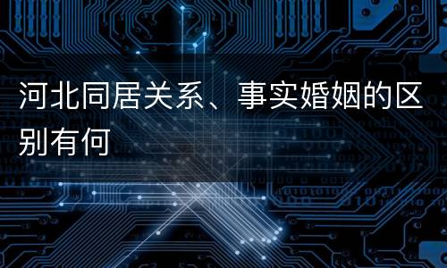 河北同居关系、事实婚姻的区别有何