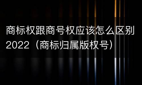 商标权跟商号权应该怎么区别2022（商标归属版权号）