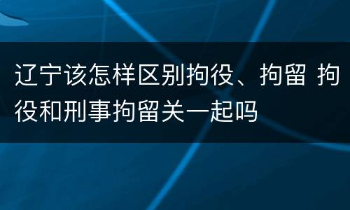 辽宁该怎样区别拘役、拘留 拘役和刑事拘留关一起吗