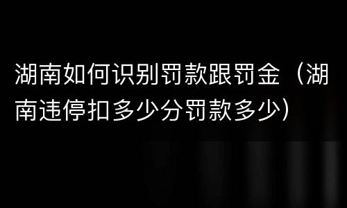 湖南如何识别罚款跟罚金（湖南违停扣多少分罚款多少）
