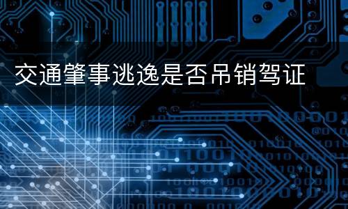 交通肇事逃逸是否吊销驾证