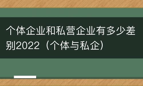个体企业和私营企业有多少差别2022（个体与私企）