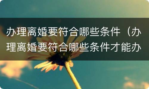 办理离婚要符合哪些条件（办理离婚要符合哪些条件才能办理）