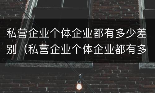 私营企业个体企业都有多少差别（私营企业个体企业都有多少差别呢）