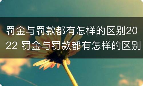 罚金与罚款都有怎样的区别2022 罚金与罚款都有怎样的区别2022年