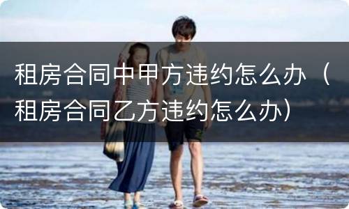 租房合同中甲方违约怎么办（租房合同乙方违约怎么办）