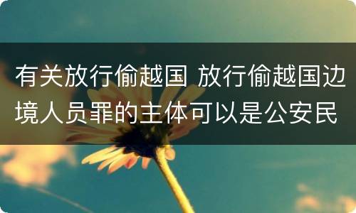 有关放行偷越国 放行偷越国边境人员罪的主体可以是公安民警吗