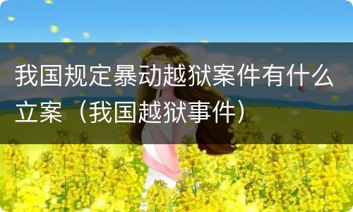 我国规定暴动越狱案件有什么立案（我国越狱事件）