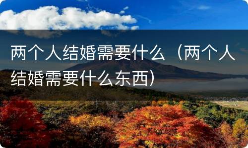 两个人结婚需要什么（两个人结婚需要什么东西）