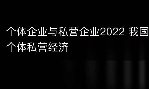 个体企业与私营企业2022 我国个体私营经济